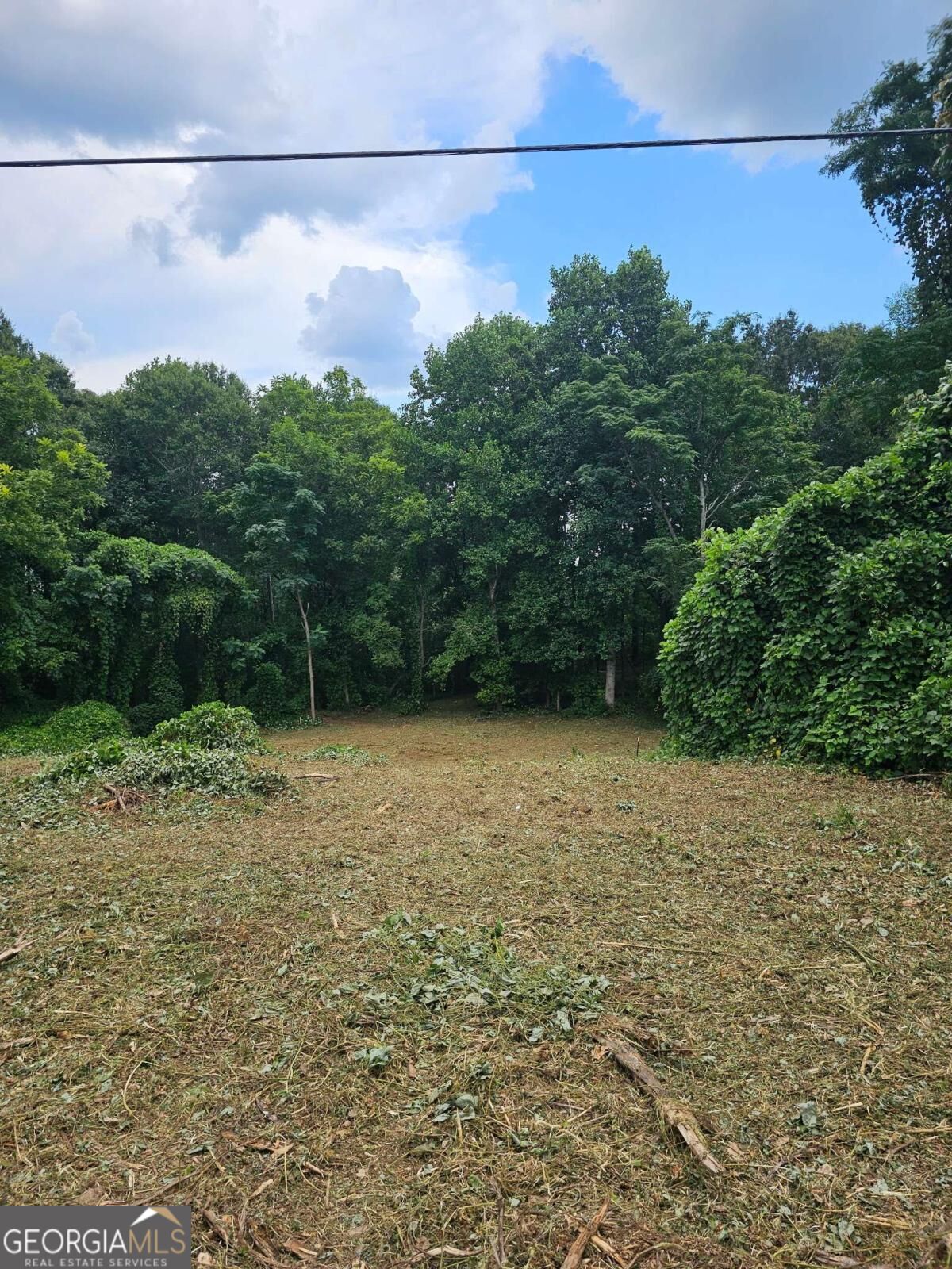 Cleared lot bordered by dense trees, with a utility line crossing the partly cloudy sky.