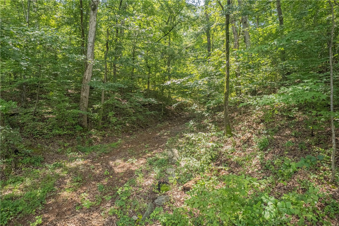 1071 Shelor Ferry Road