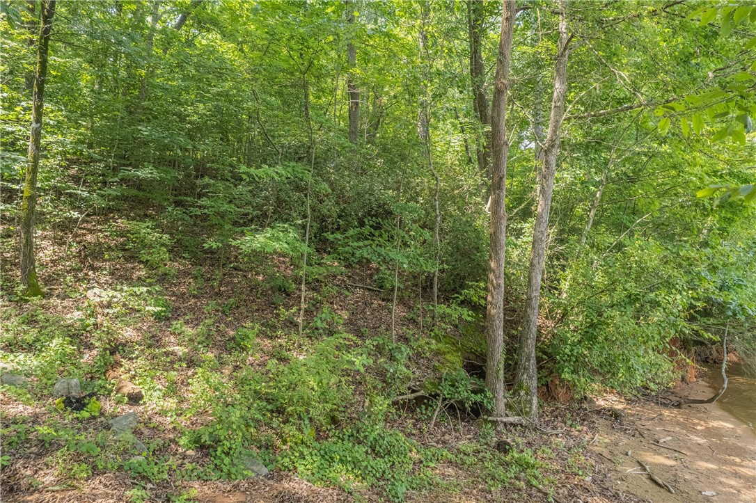 1071 Shelor Ferry Road