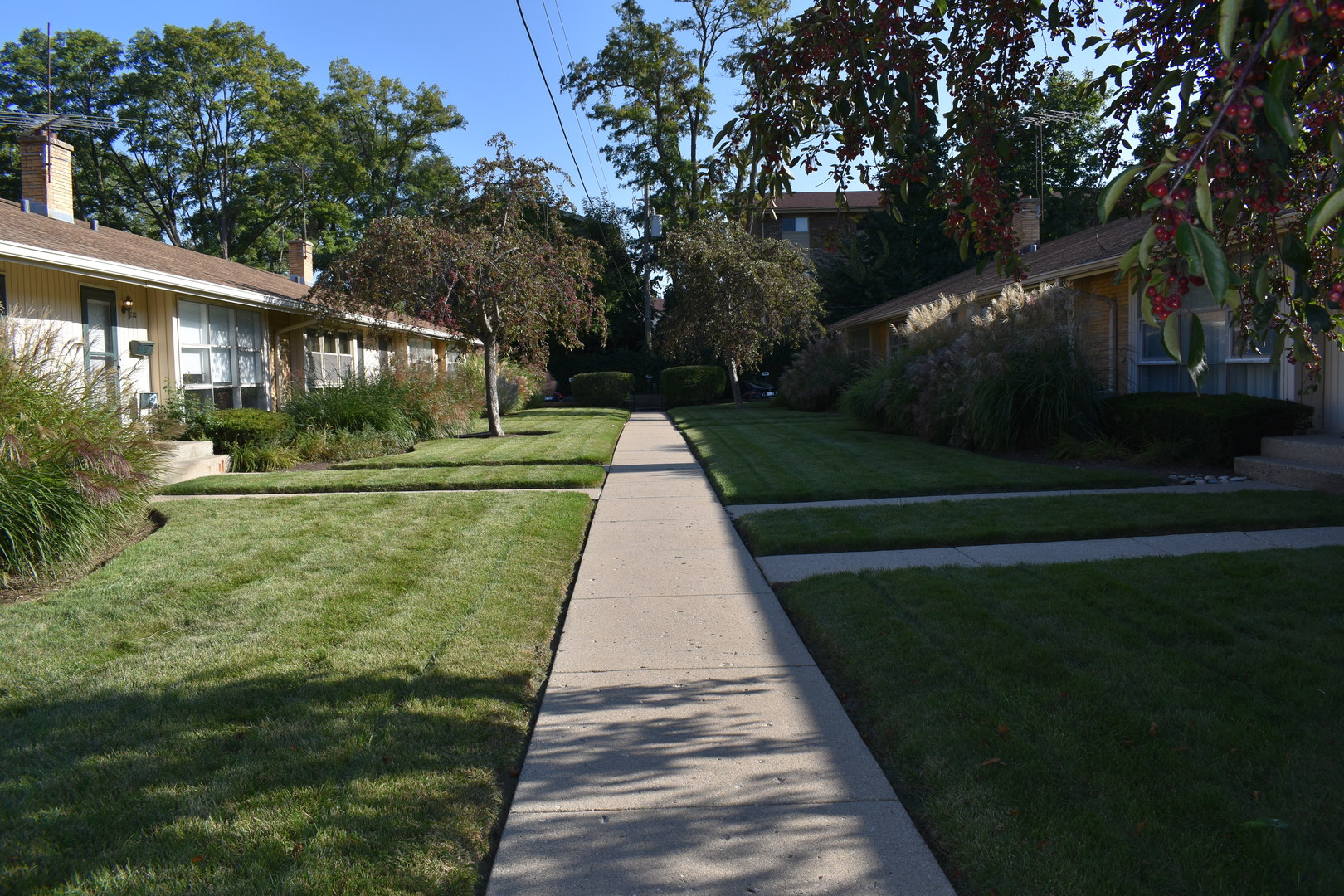 920 N Milwaukee Avenue Unit: B