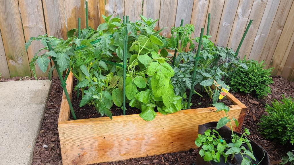 920 N Milwaukee Avenue Unit: B