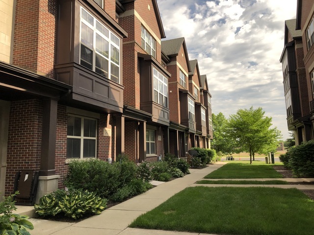 317 W Alpine Springs Drive