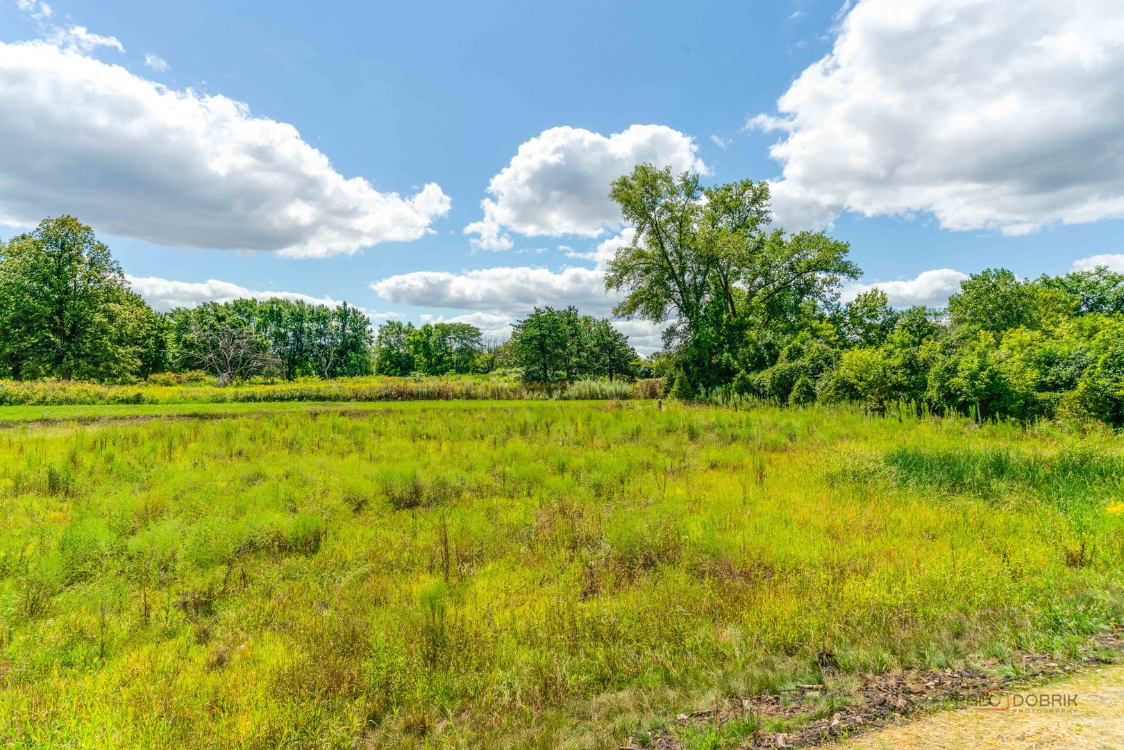 1066 Livingston Avenue