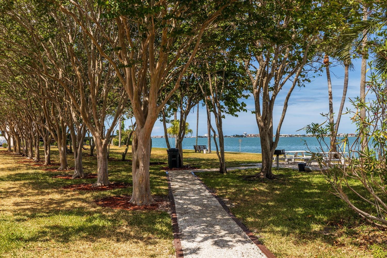 6020 SHORE BLVD S #1101