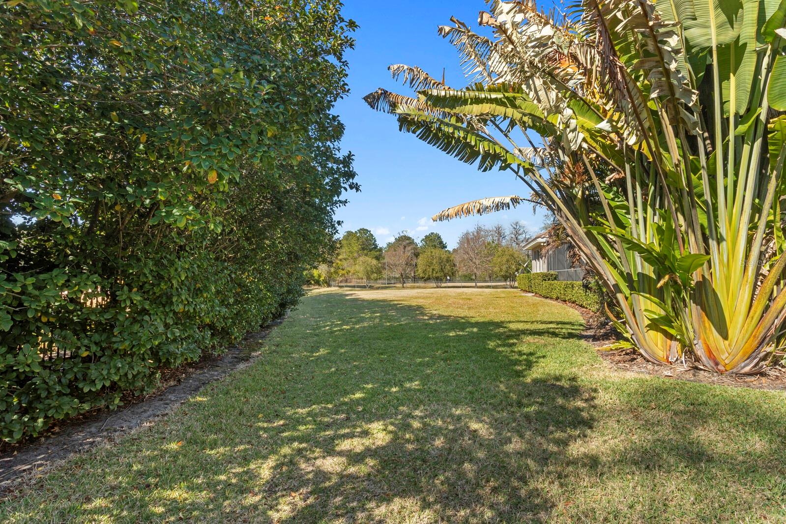 9916 MENANDER WOOD CT