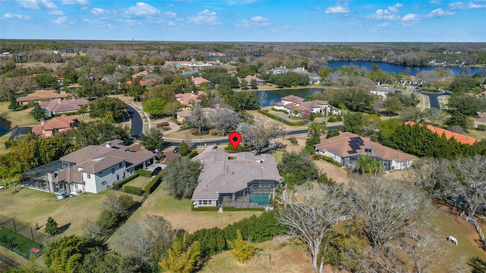 9916 MENANDER WOOD CT