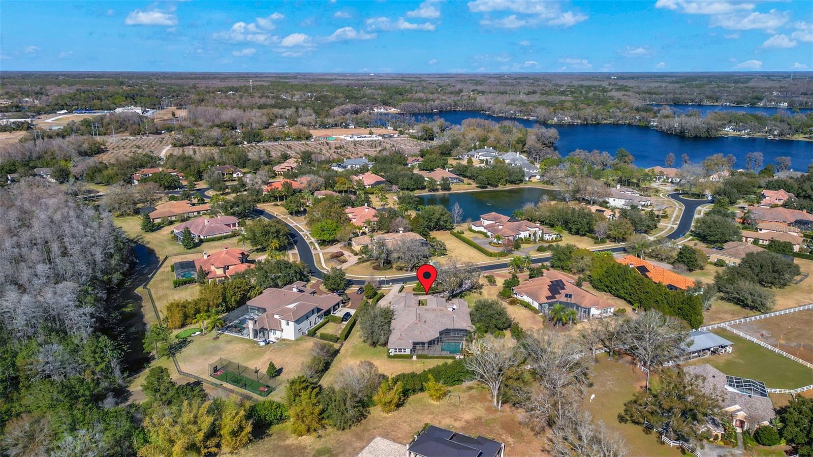 9916 MENANDER WOOD CT