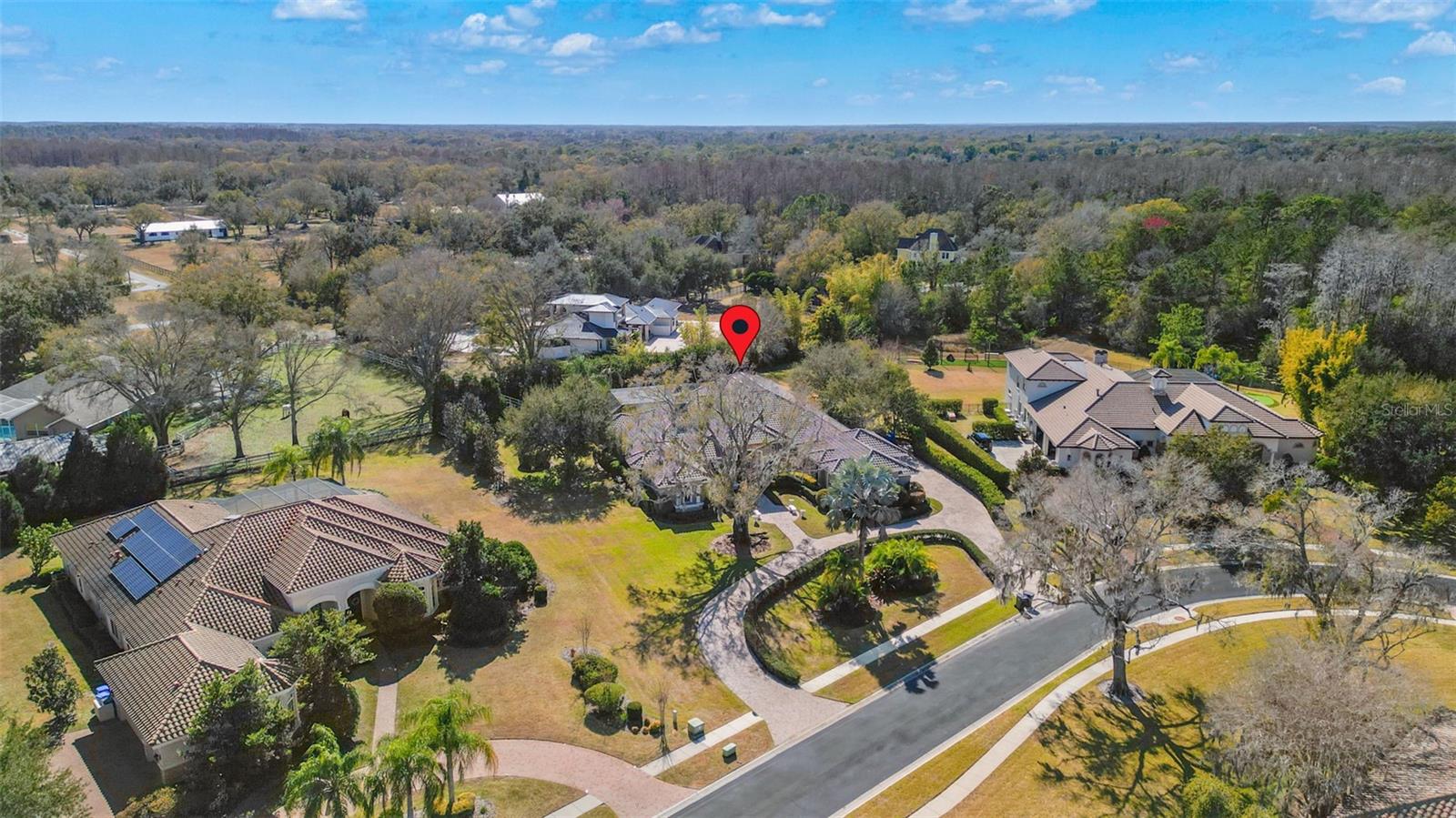 9916 MENANDER WOOD CT