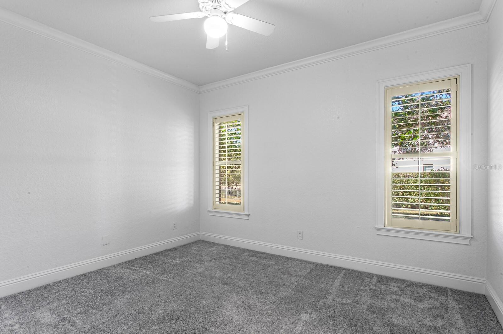 9916 MENANDER WOOD CT