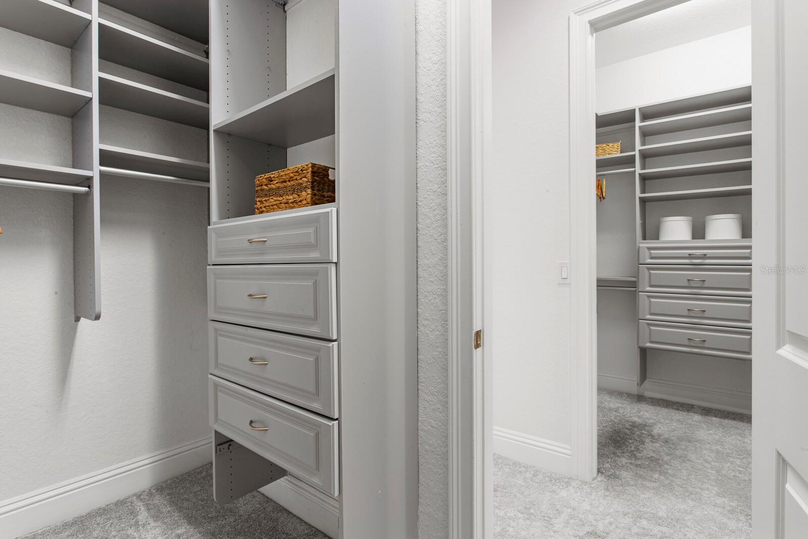 9916 MENANDER WOOD CT