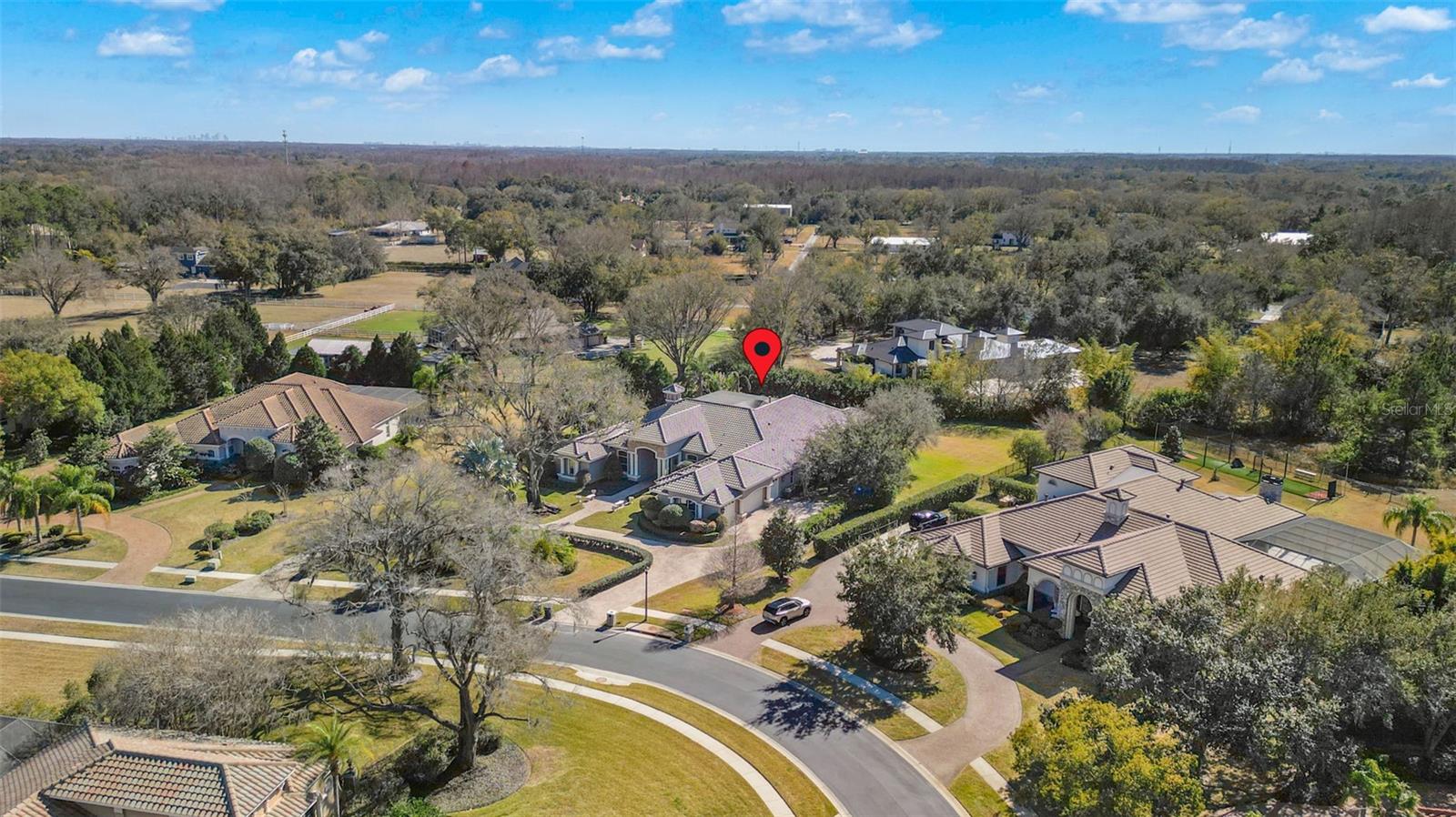 9916 MENANDER WOOD CT