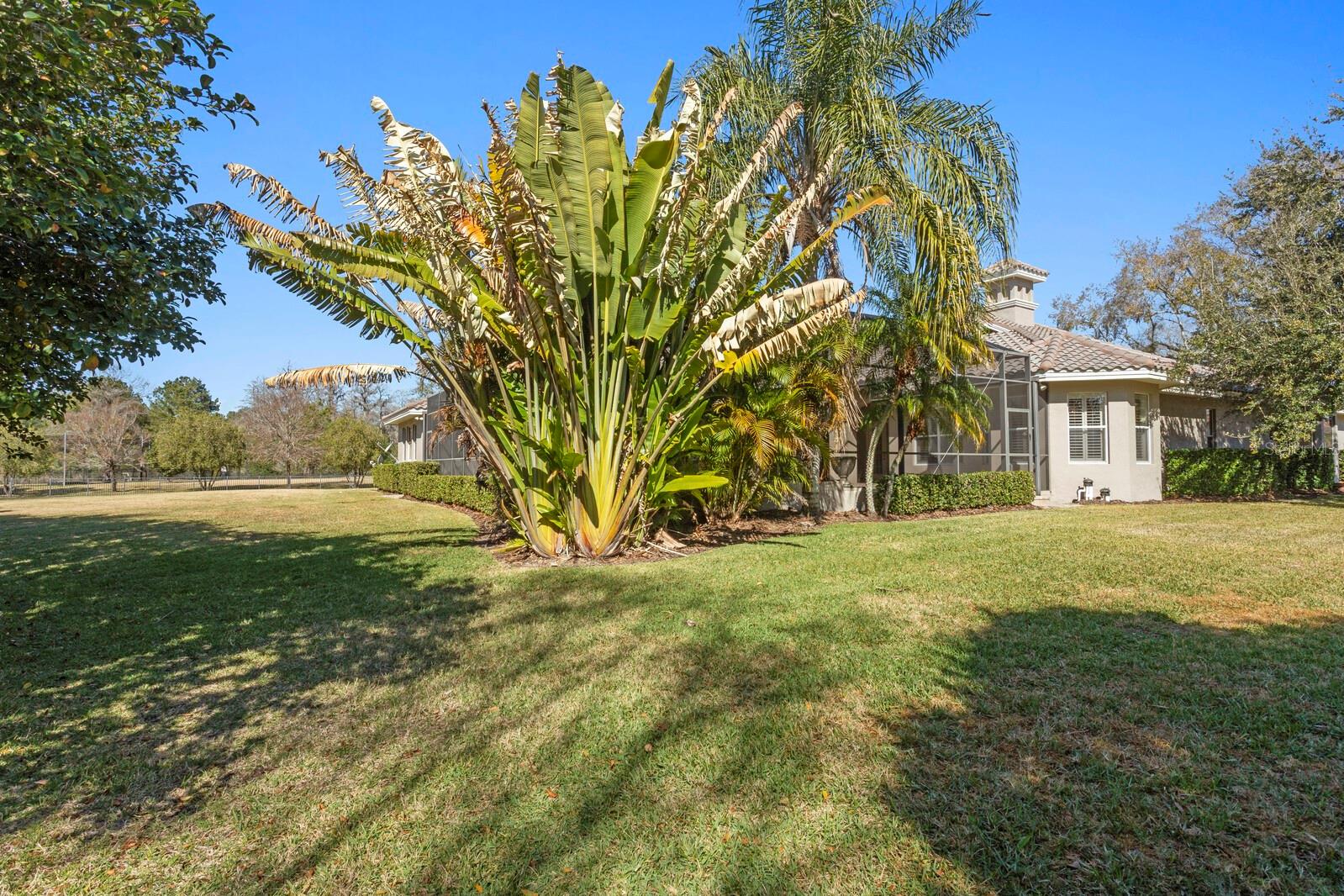 9916 MENANDER WOOD CT