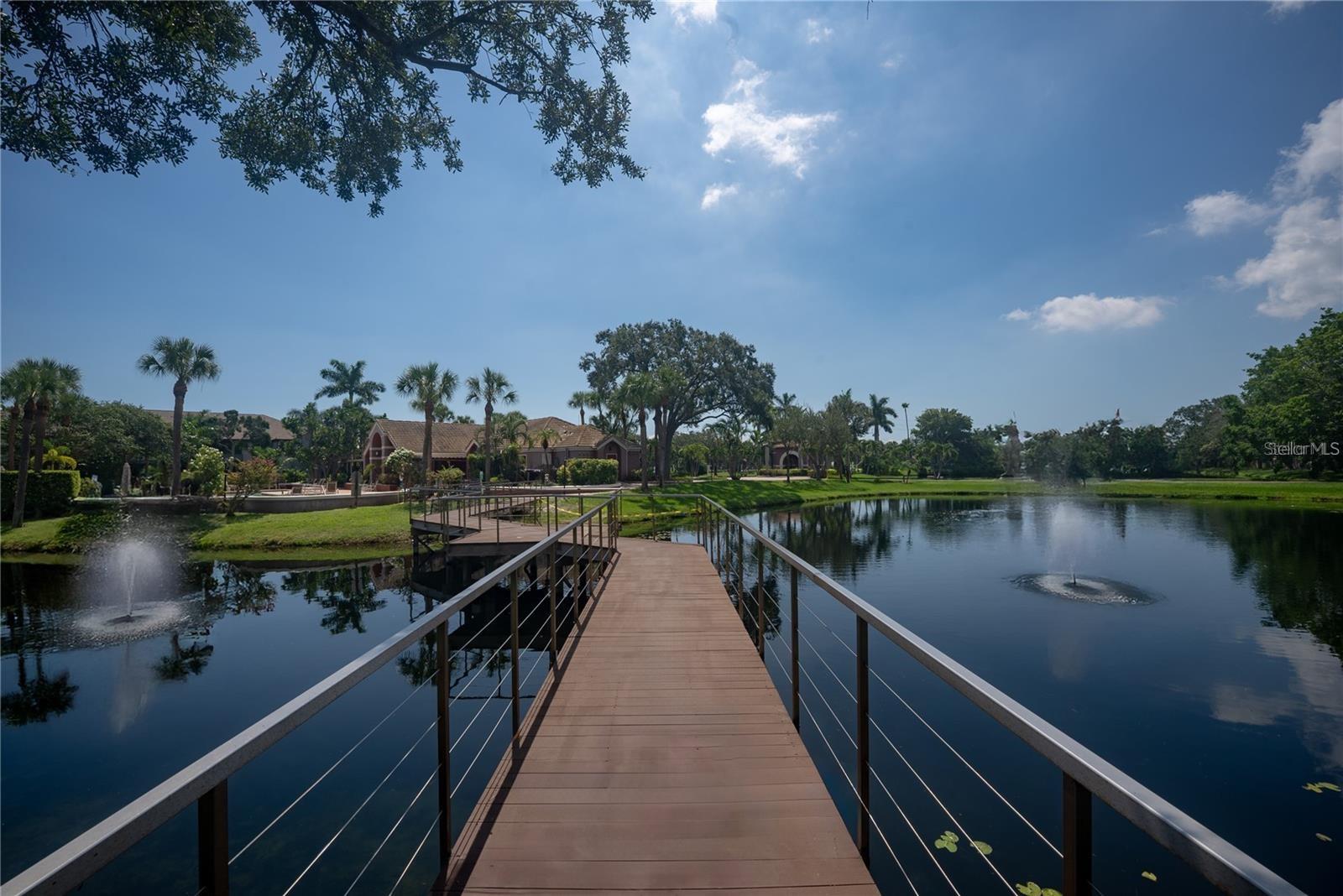 10263 GANDY BLVD N #2316