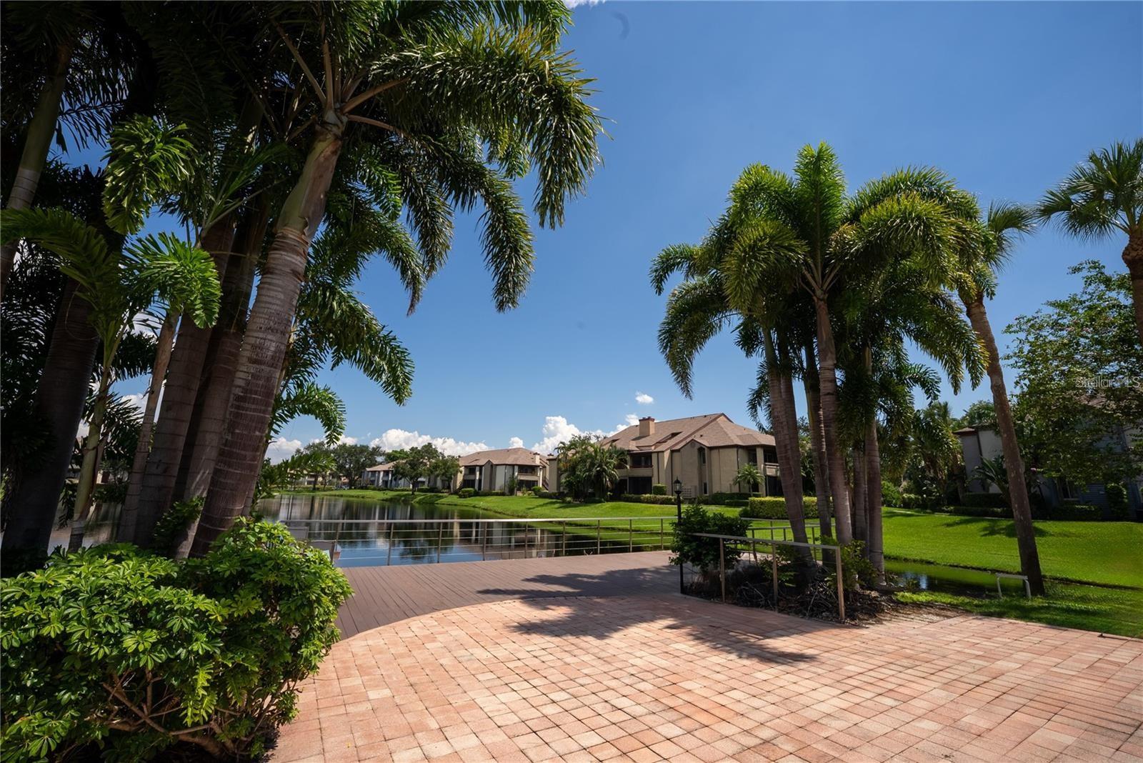 10263 GANDY BLVD N #2316