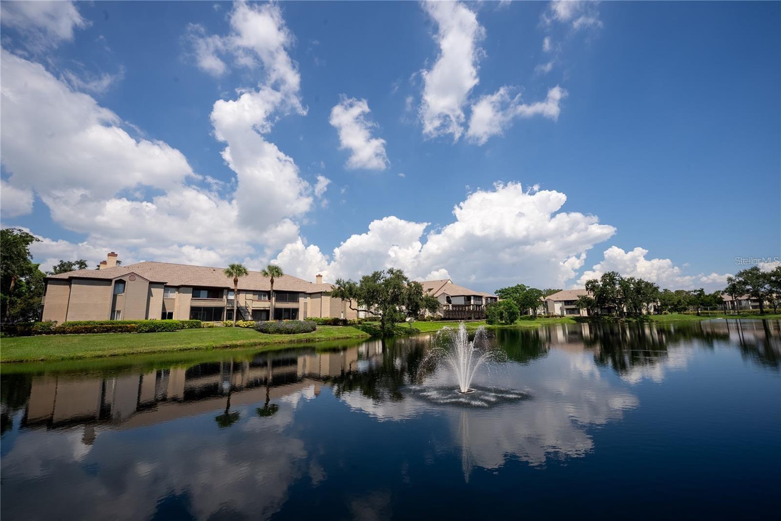 10263 GANDY BLVD N #2316