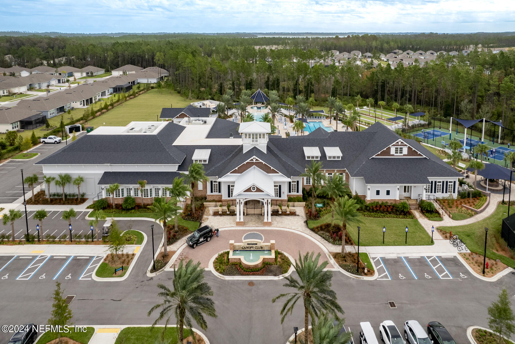 58 GRAY OWL Point