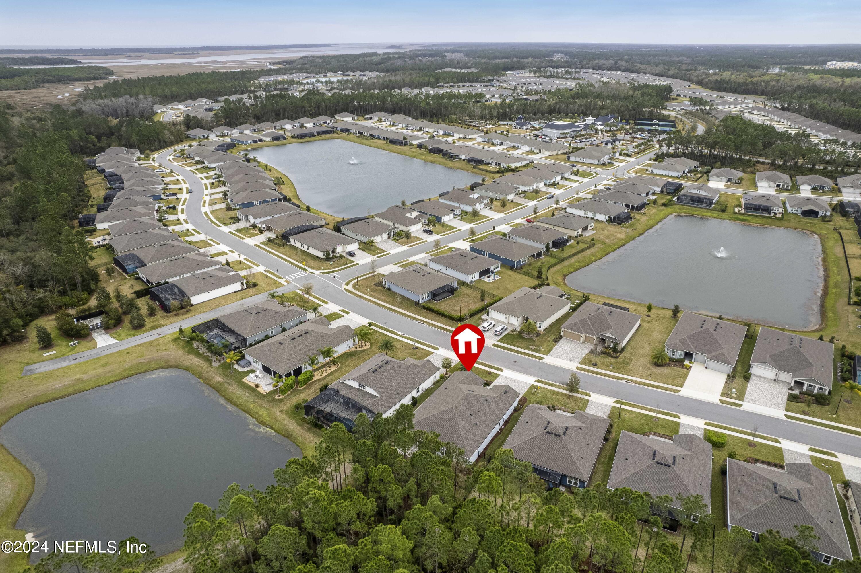 58 GRAY OWL Point