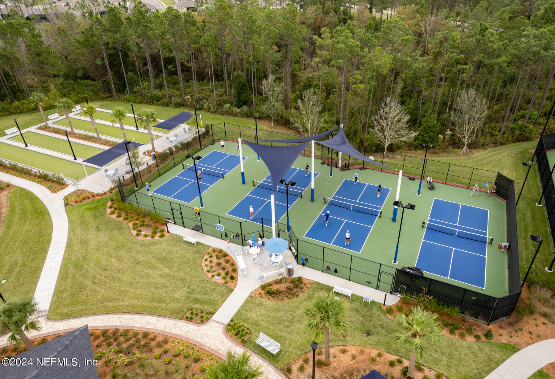58 GRAY OWL Point
