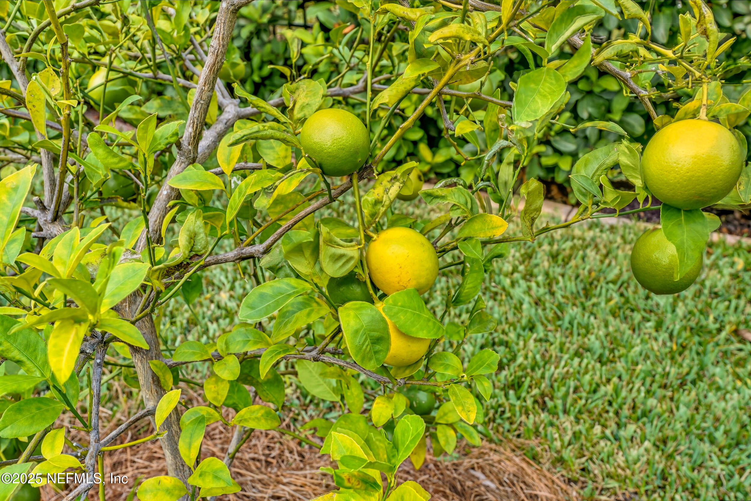 224 TILDEN Court, St. Augustine