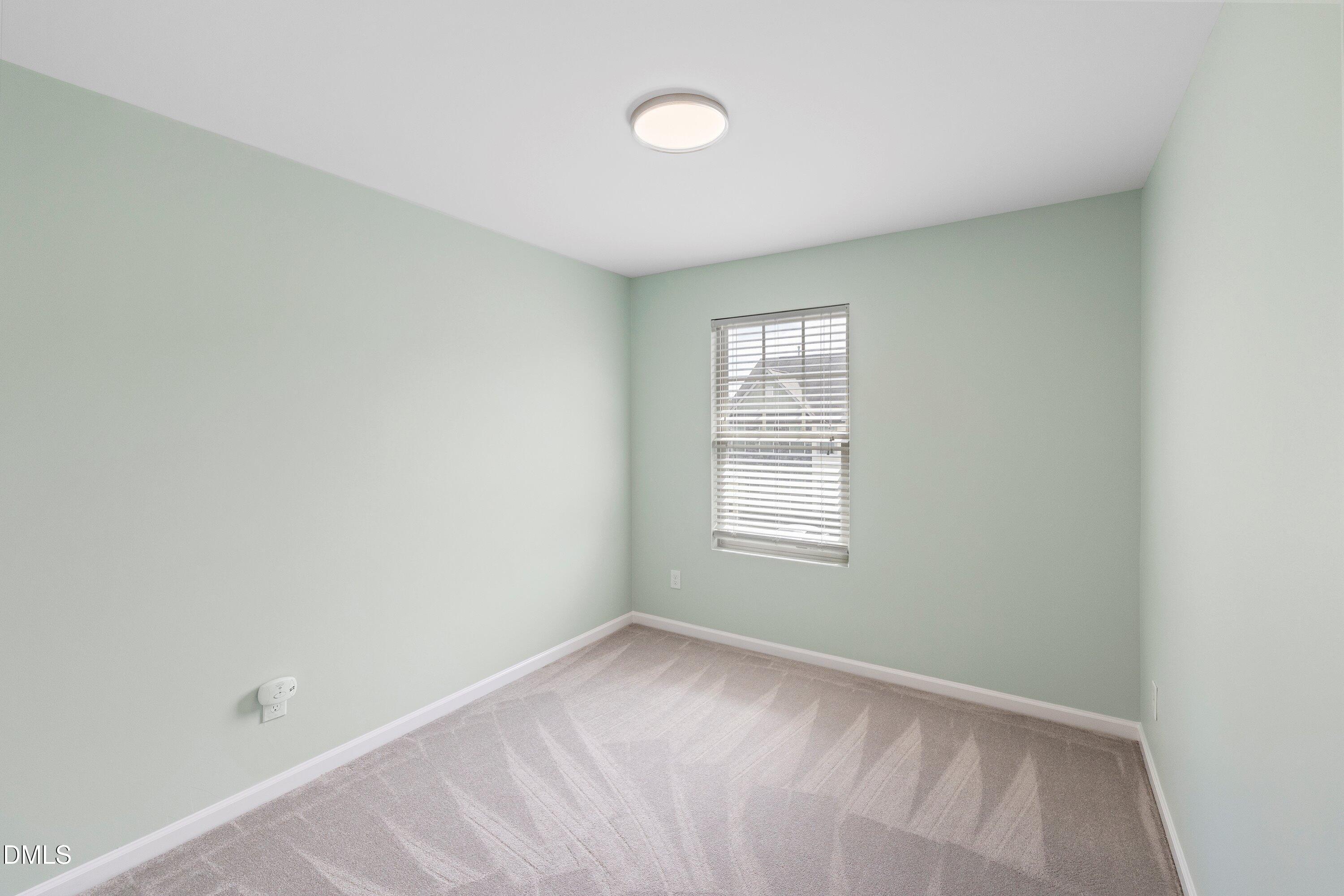 4205 Ginger Sprout Drive