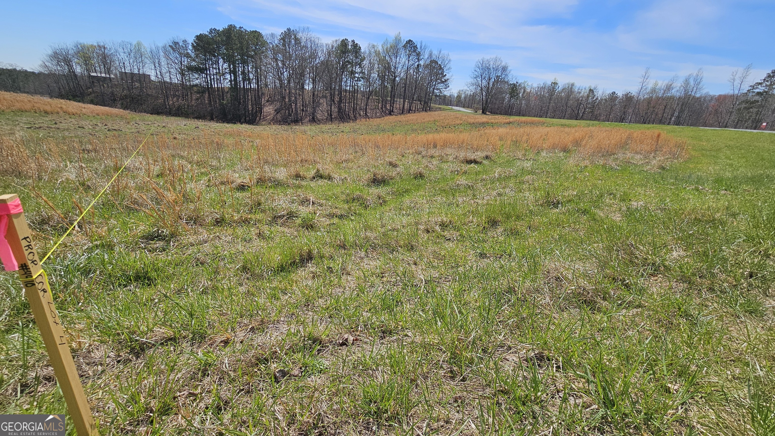 LOT 4 Snote Jones Road