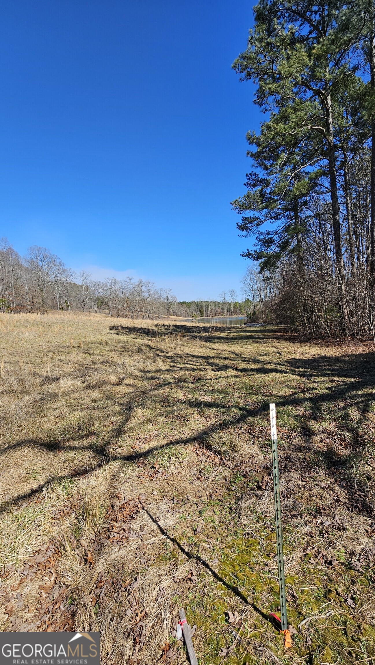 LOT 4 Snote Jones Road