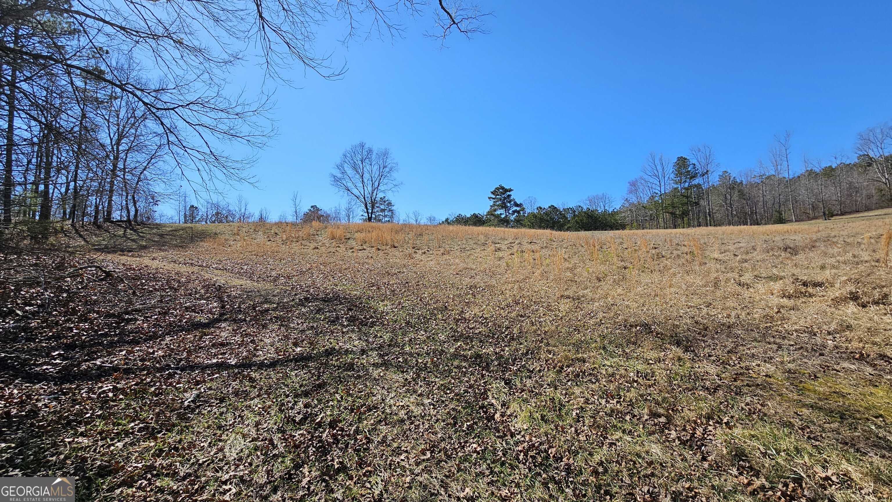 LOT 4 Snote Jones Road