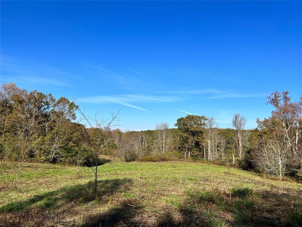 337 Shellhorse Road