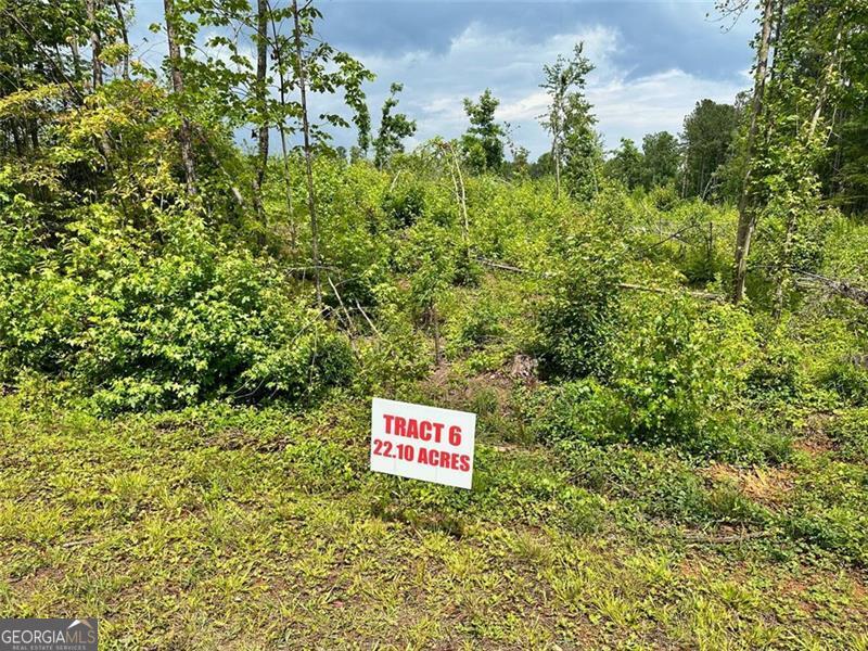 0 Temple Draketown Road Unit: TRACT 6