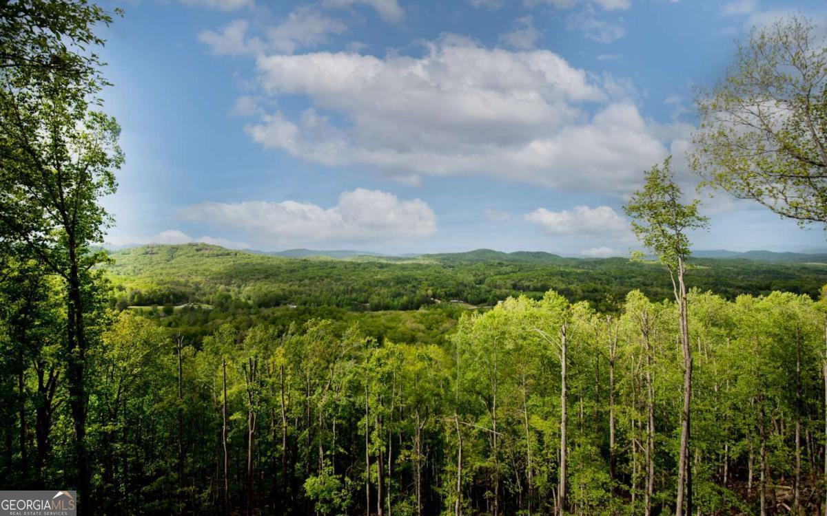 LOT 7 Scouts Overlook