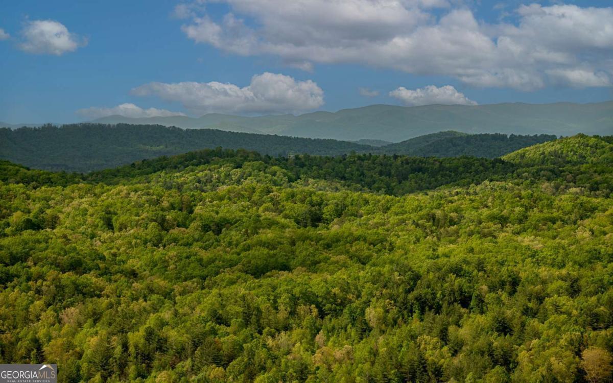 LOT 7 Scouts Overlook