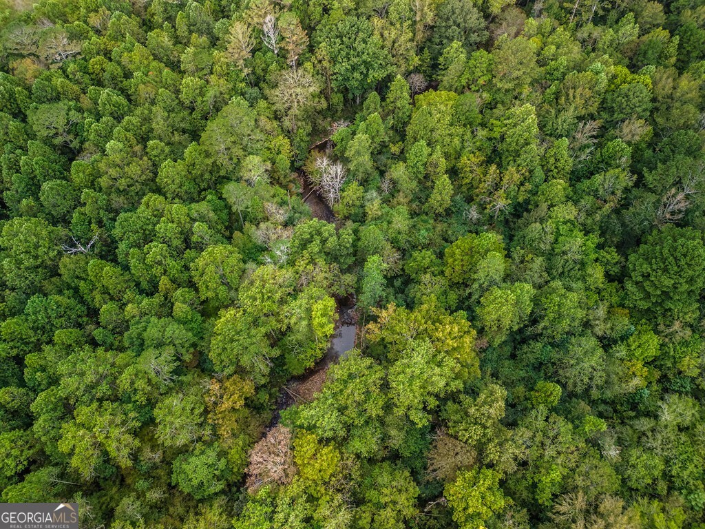 3.87AC Old Northcutt Road