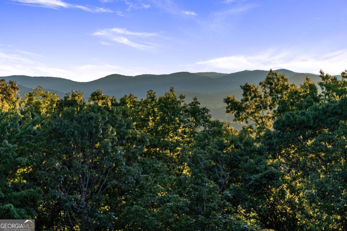 361 June Bug Lane, Blue Ridge