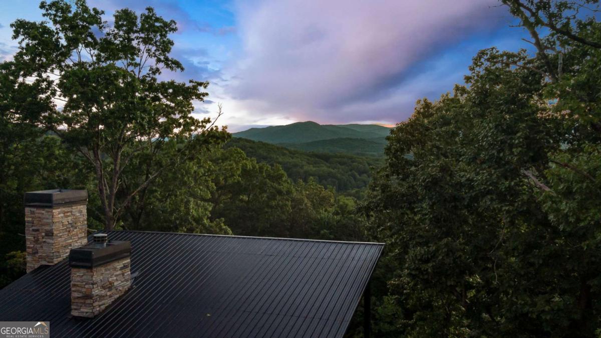 361 June Bug Lane, Blue Ridge