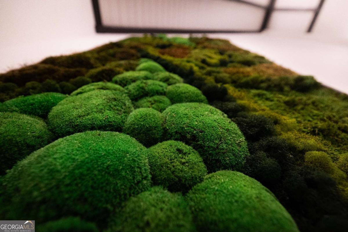 7670 Hiawassee Wilderness