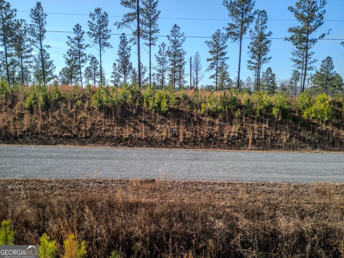 LOT 178 Vista Creek Drive # 178