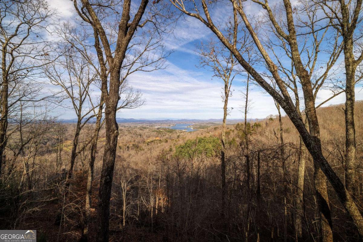 907 Ripshin Mountain Road