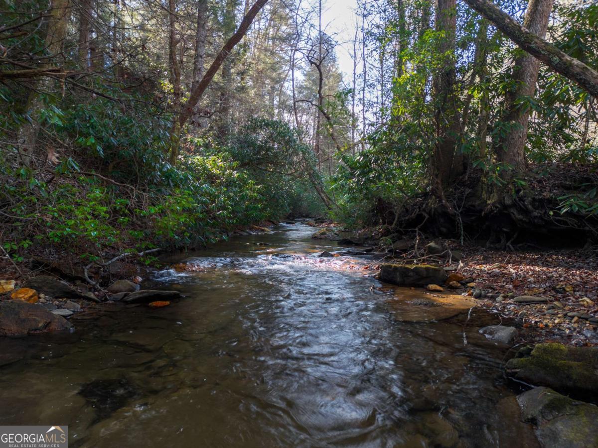 100 Stanley Creek Crossing