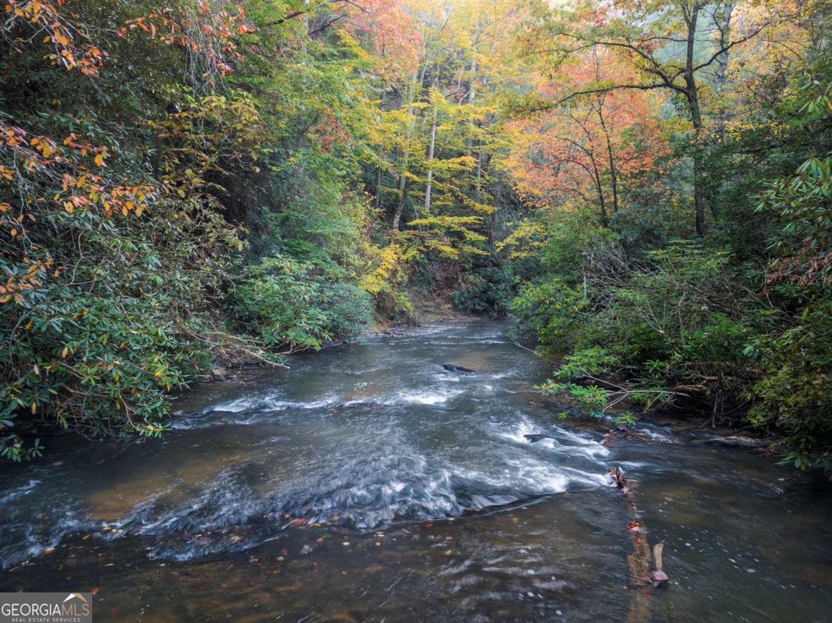 456 Whispering Pine Lane