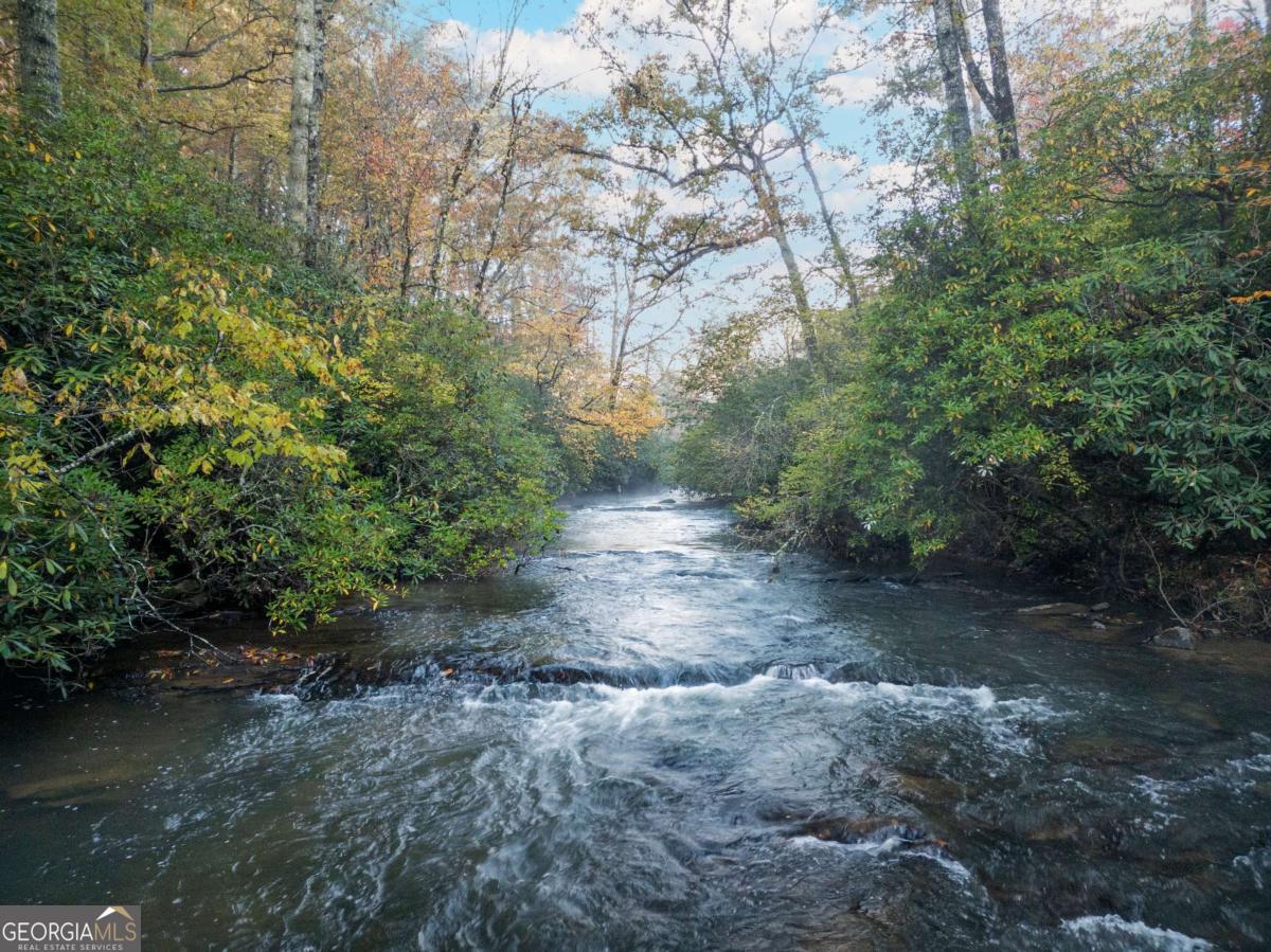 456 Whispering Pine Lane