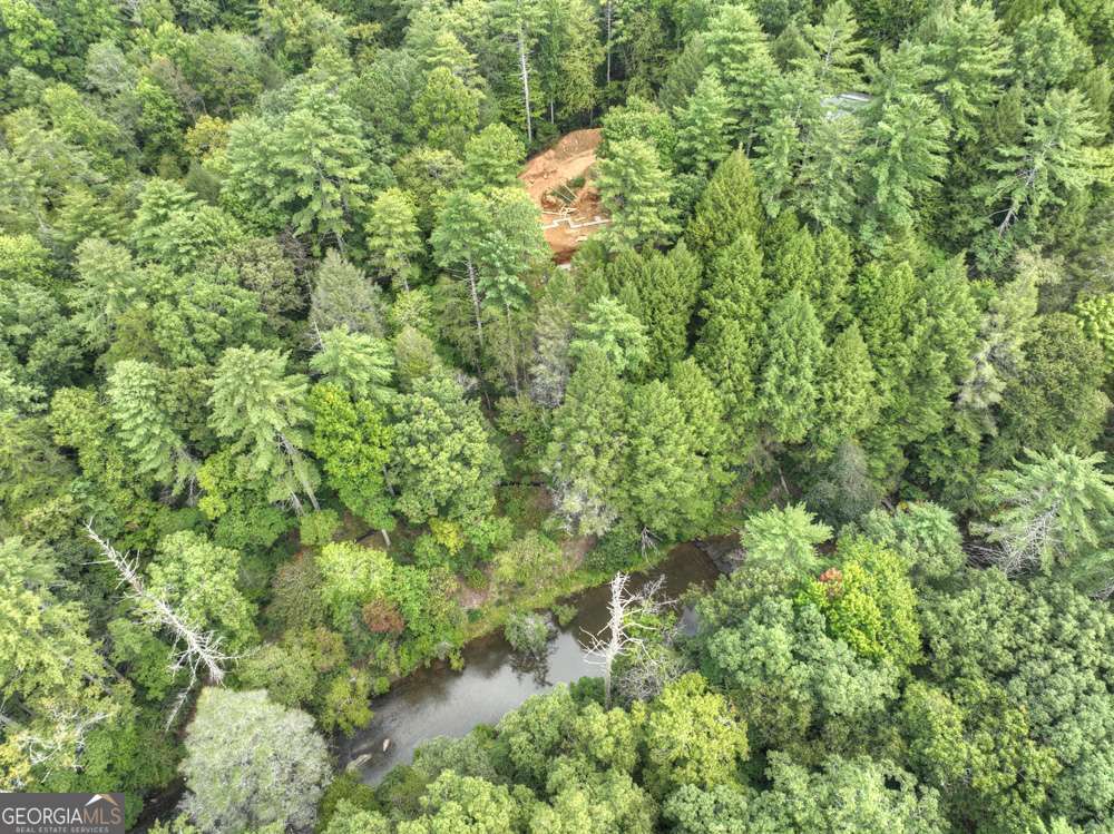 456 Whispering Pine Lane