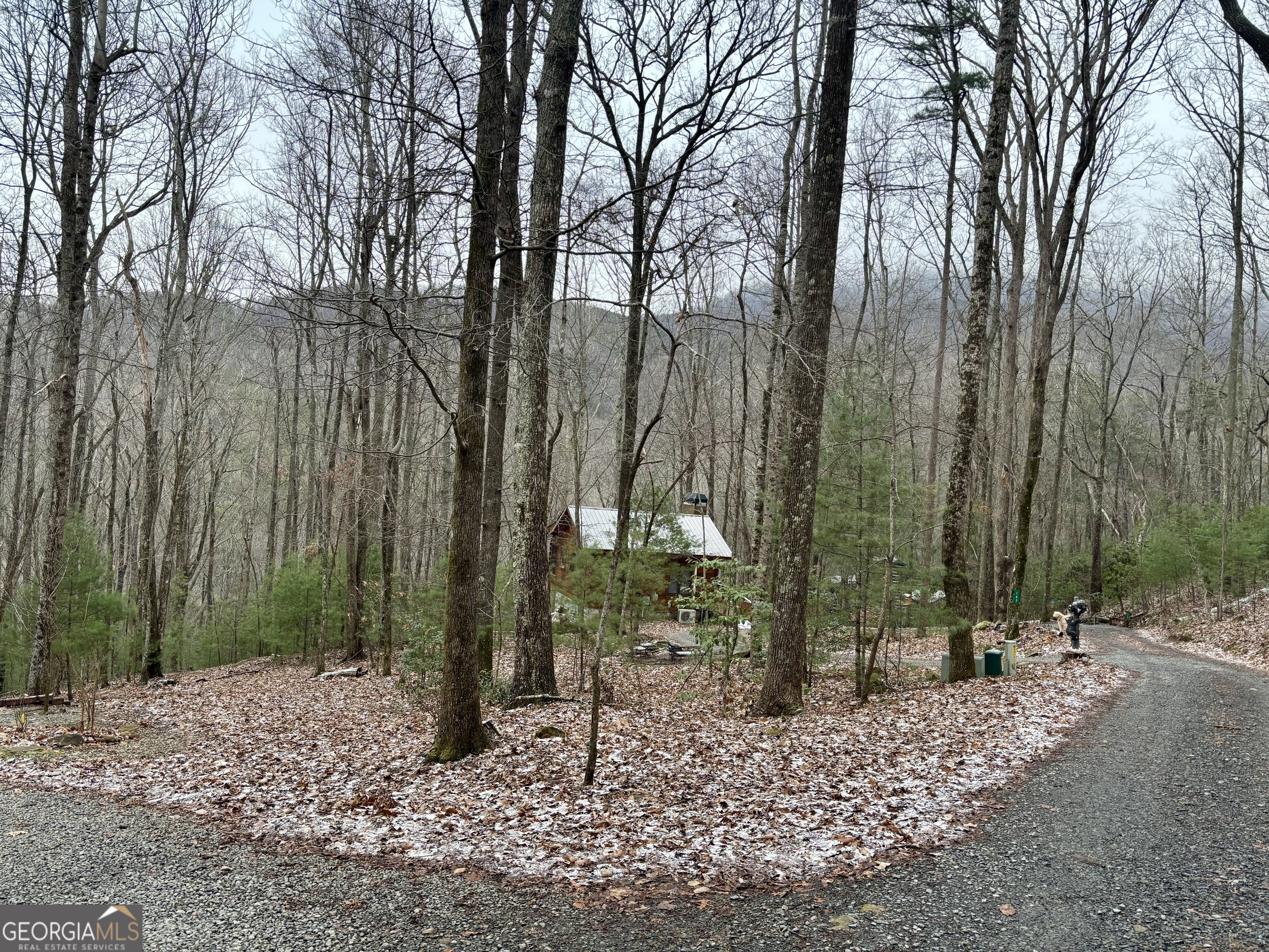 163 Little Rock Creek Trail # 9