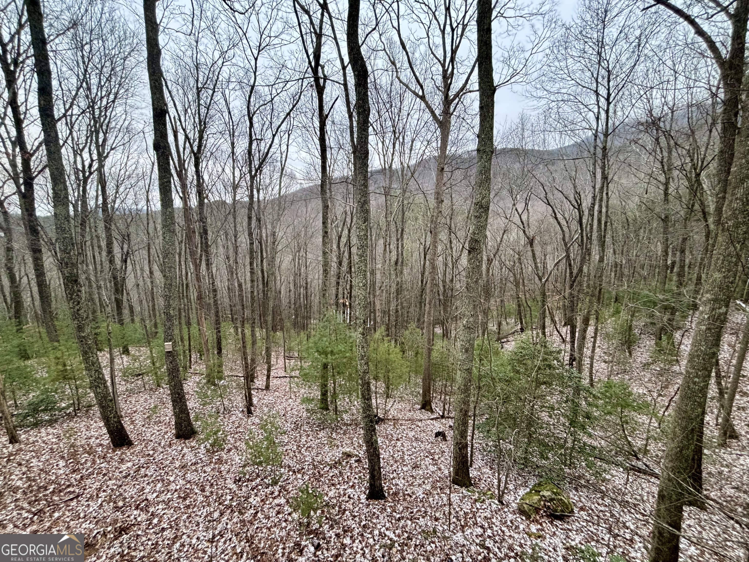 163 Little Rock Creek Trail # 9