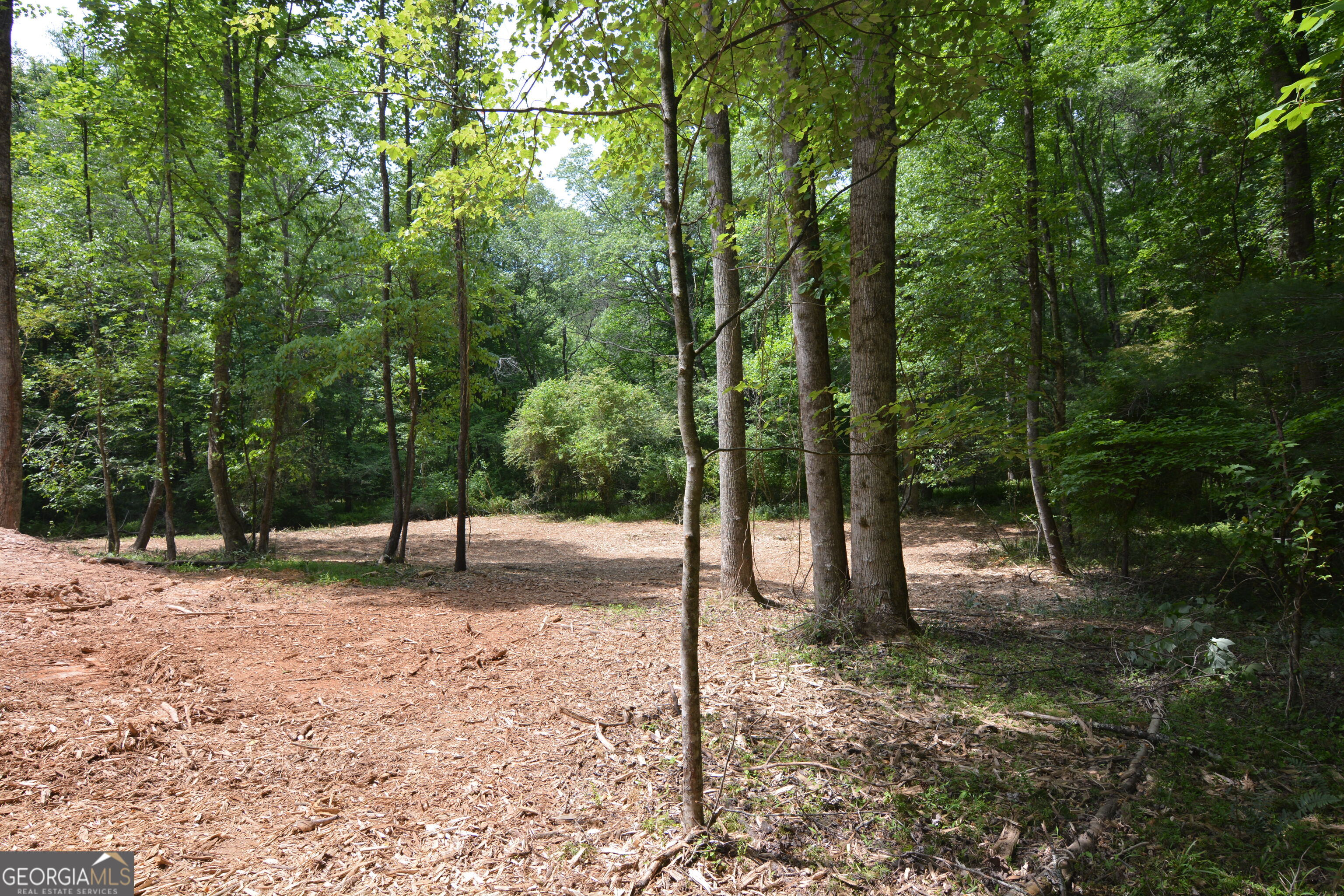 LOT 1 Murphy Hwy (Spur 60)