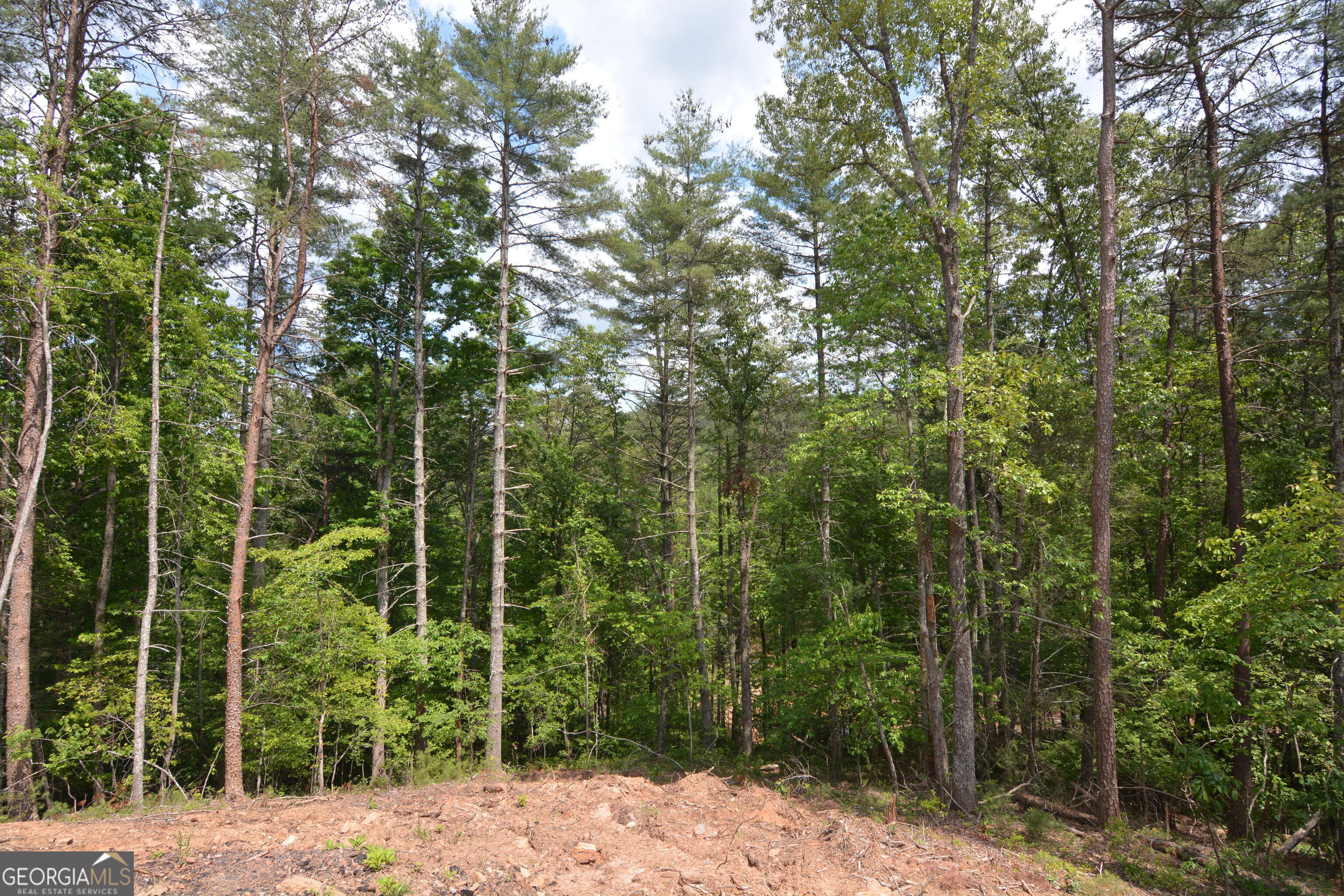 LOT 3 Murphy Hwy (Spur 60)