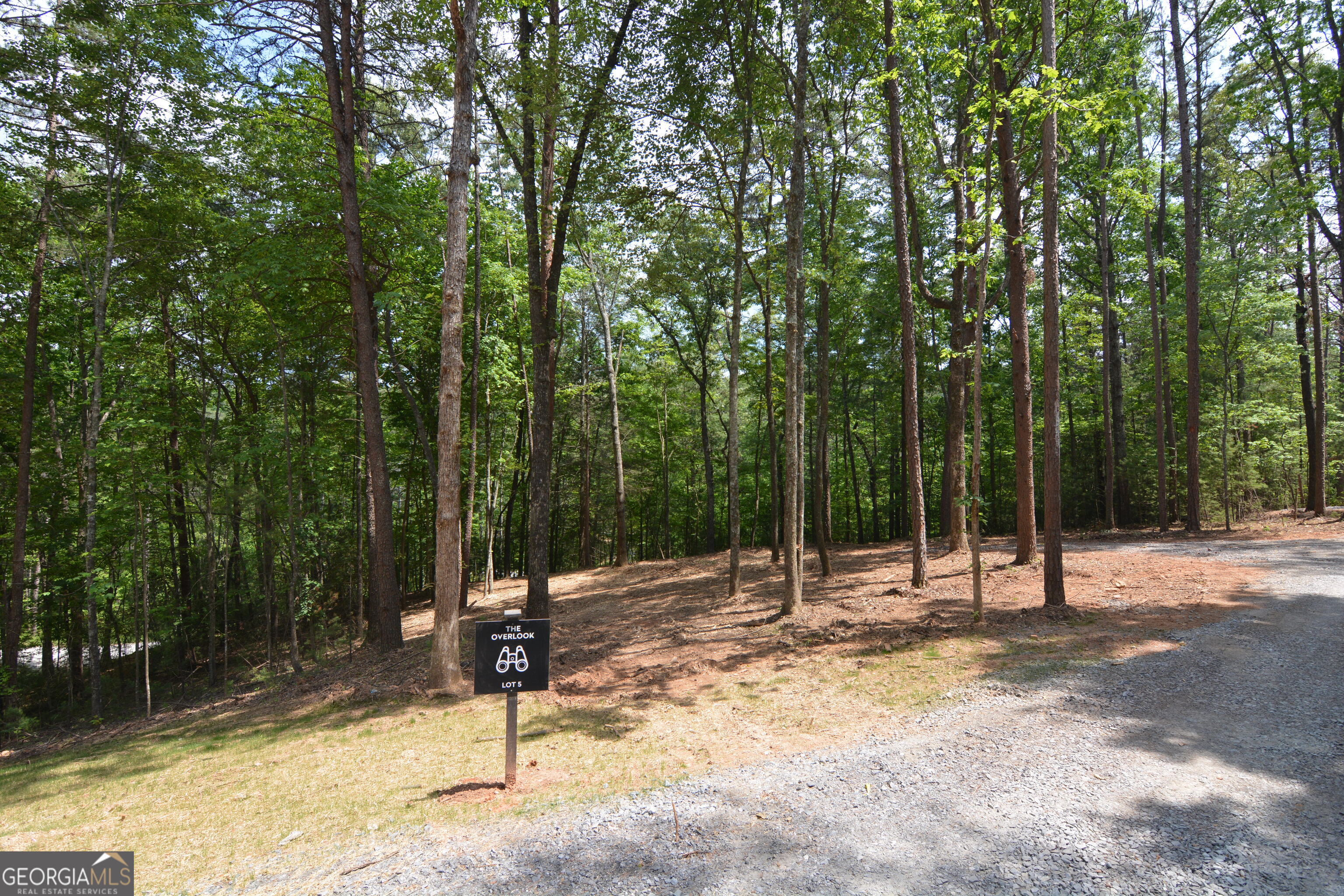 LOT 5 Murphy Hwy (Spur 60)