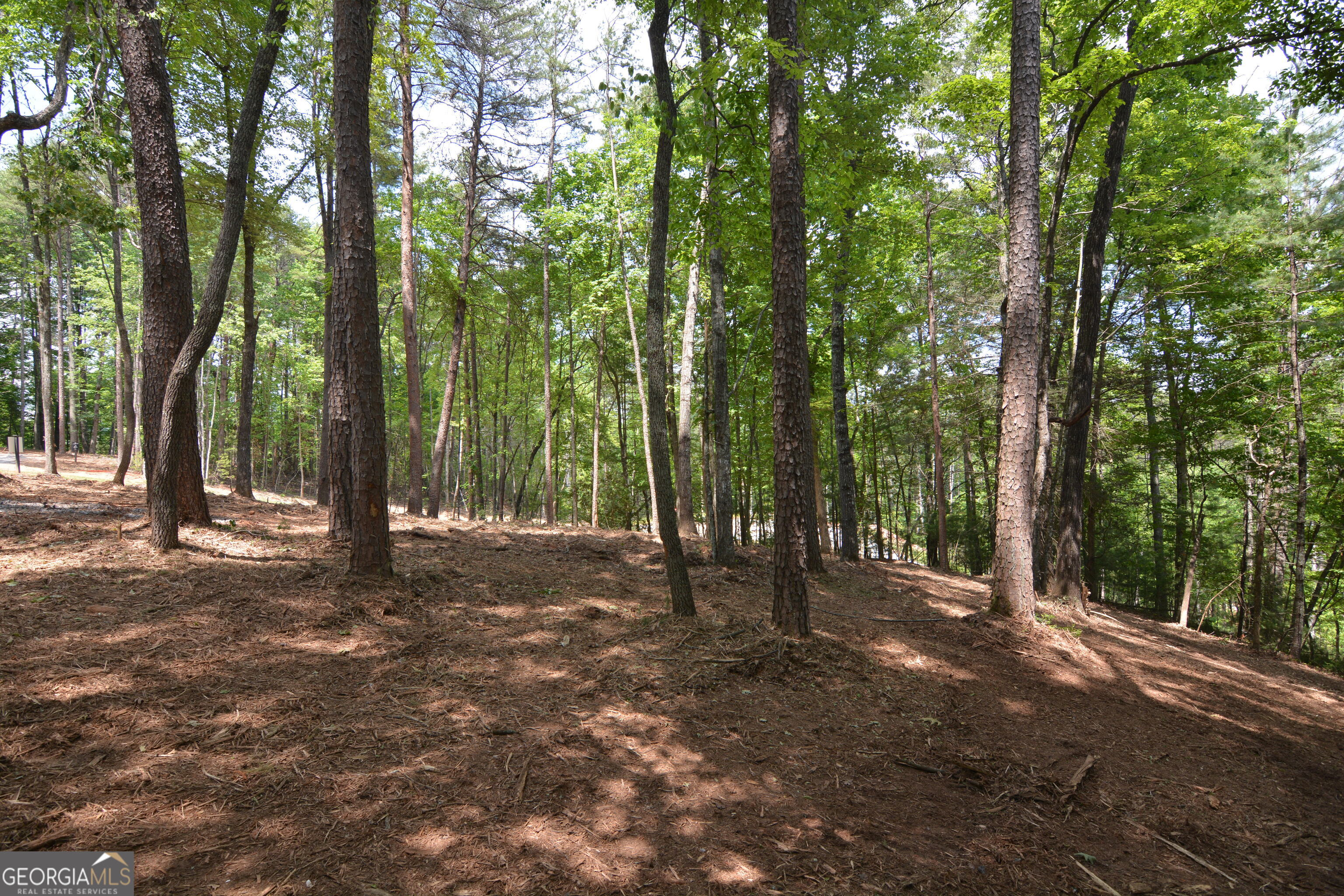 LOT 5 Murphy Hwy (Spur 60)