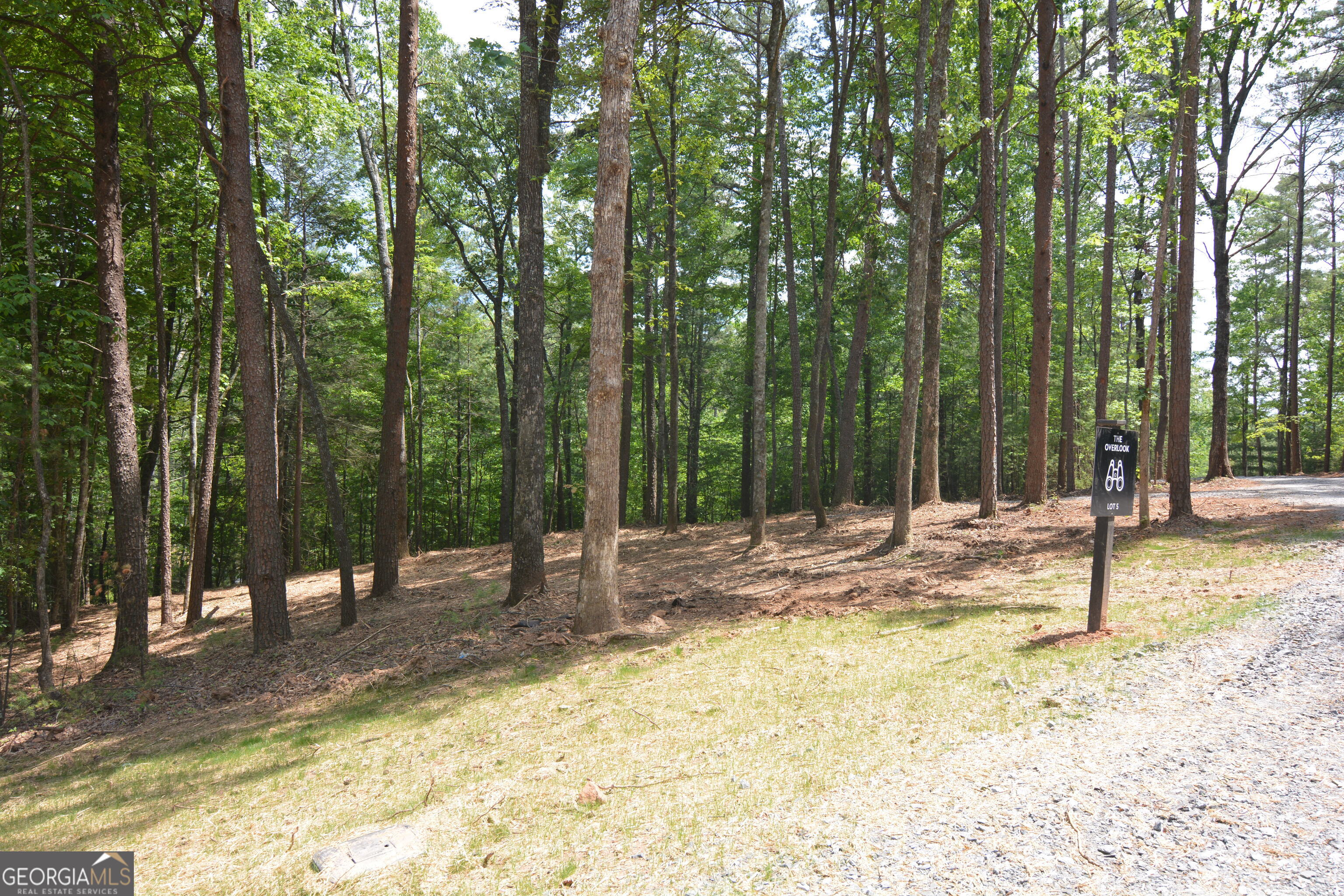 LOT 5 Murphy Hwy (Spur 60)