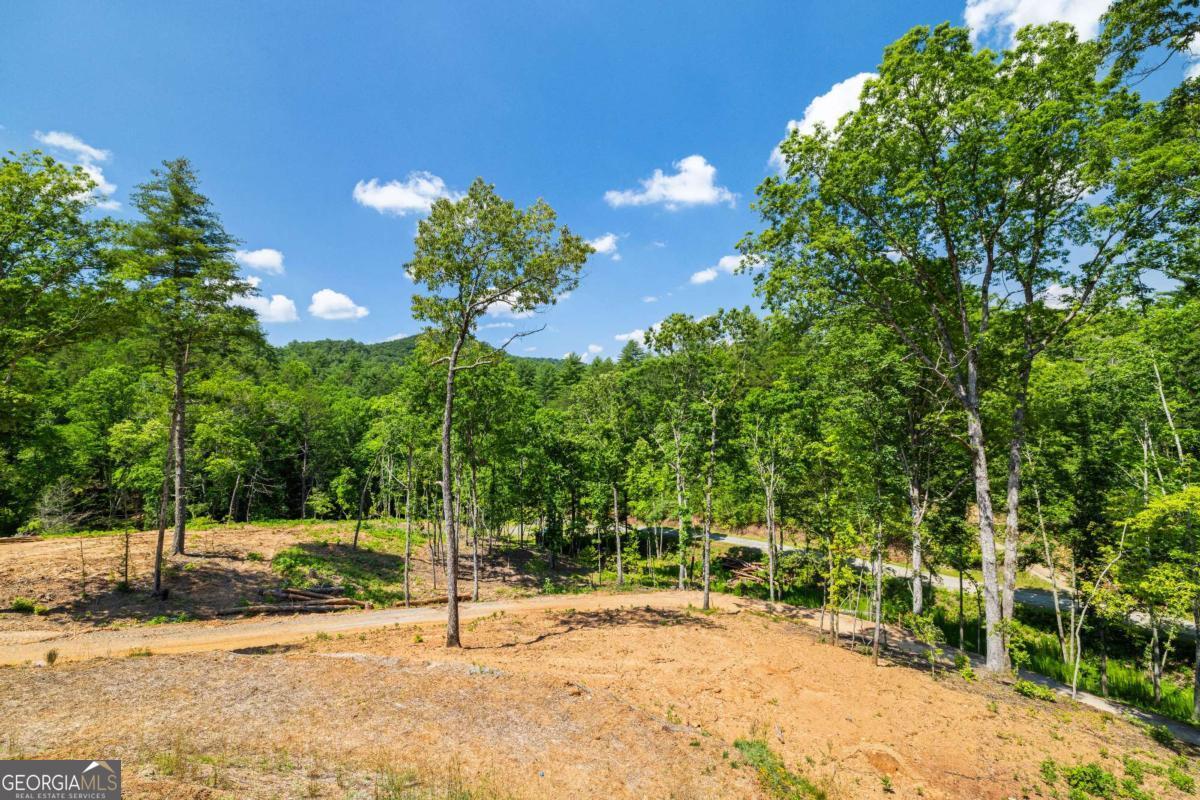 265 Park Glen Lane