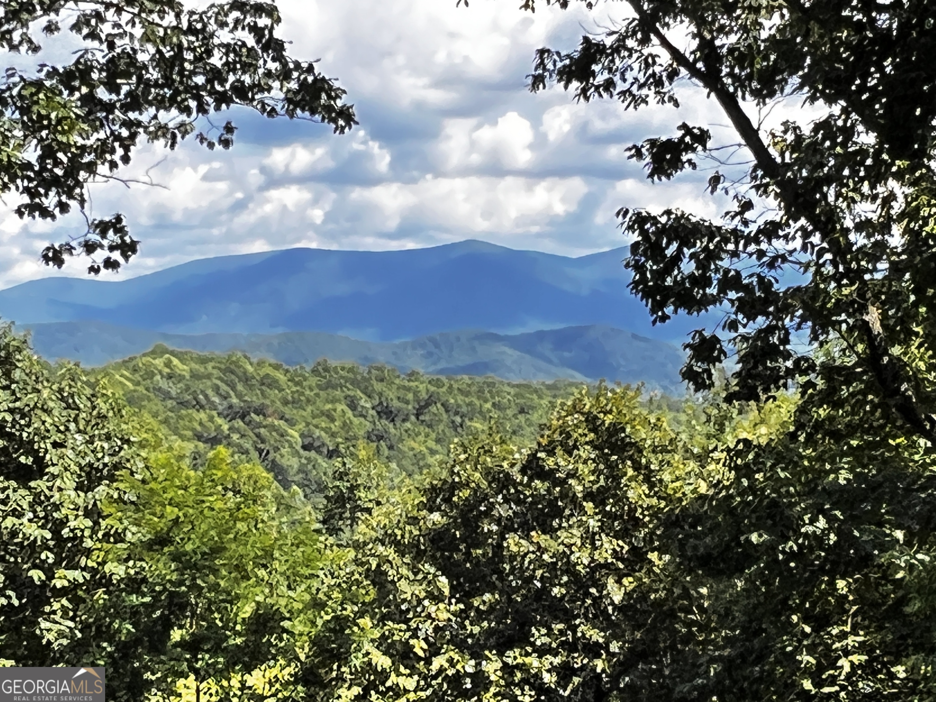 157 Misty Mountain Lane